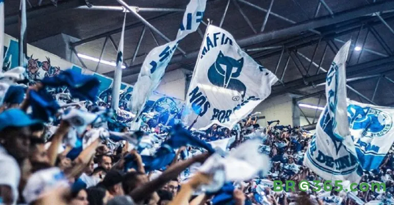Máfia Azul(brg365)