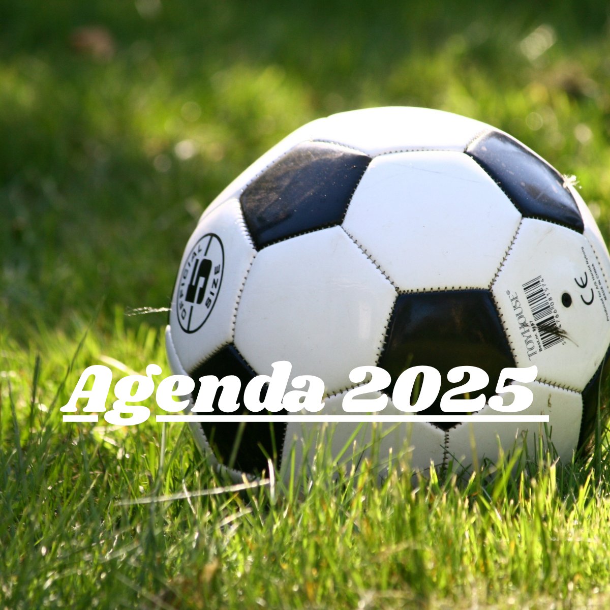 Agenda 2025: Veja as datas dos principais jogos do futebol