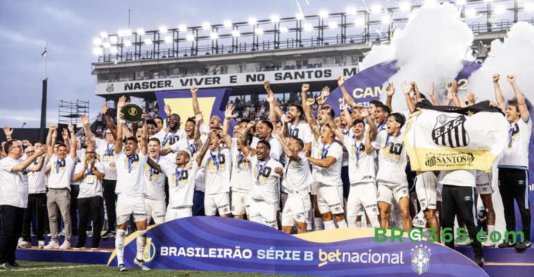 All the Brasileirão selections awarded by CBF over the years.