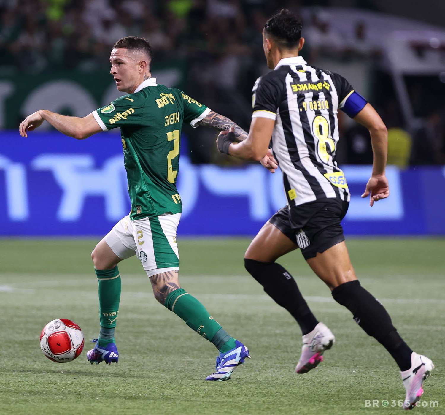 Palmeiras vs Santos - 01/28/2024 - BRG365